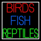 Birds Fish Reptiles LED Neon Sign